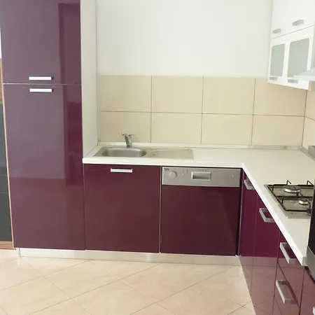 Nikola * 푸치스차