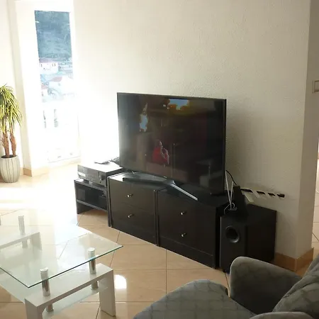 Nikola * 푸치스차